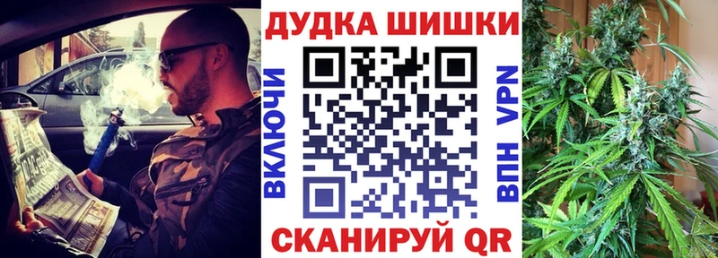 МАРИХУАНА сатива Кедровый